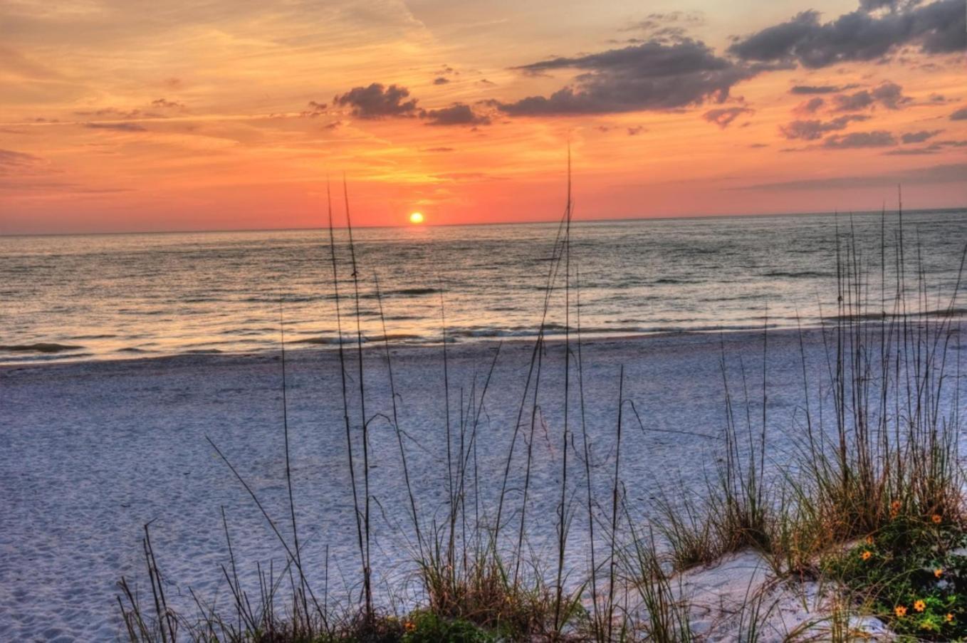 Boutique Beach Retreat St. Pete Beach Exteriér fotografie